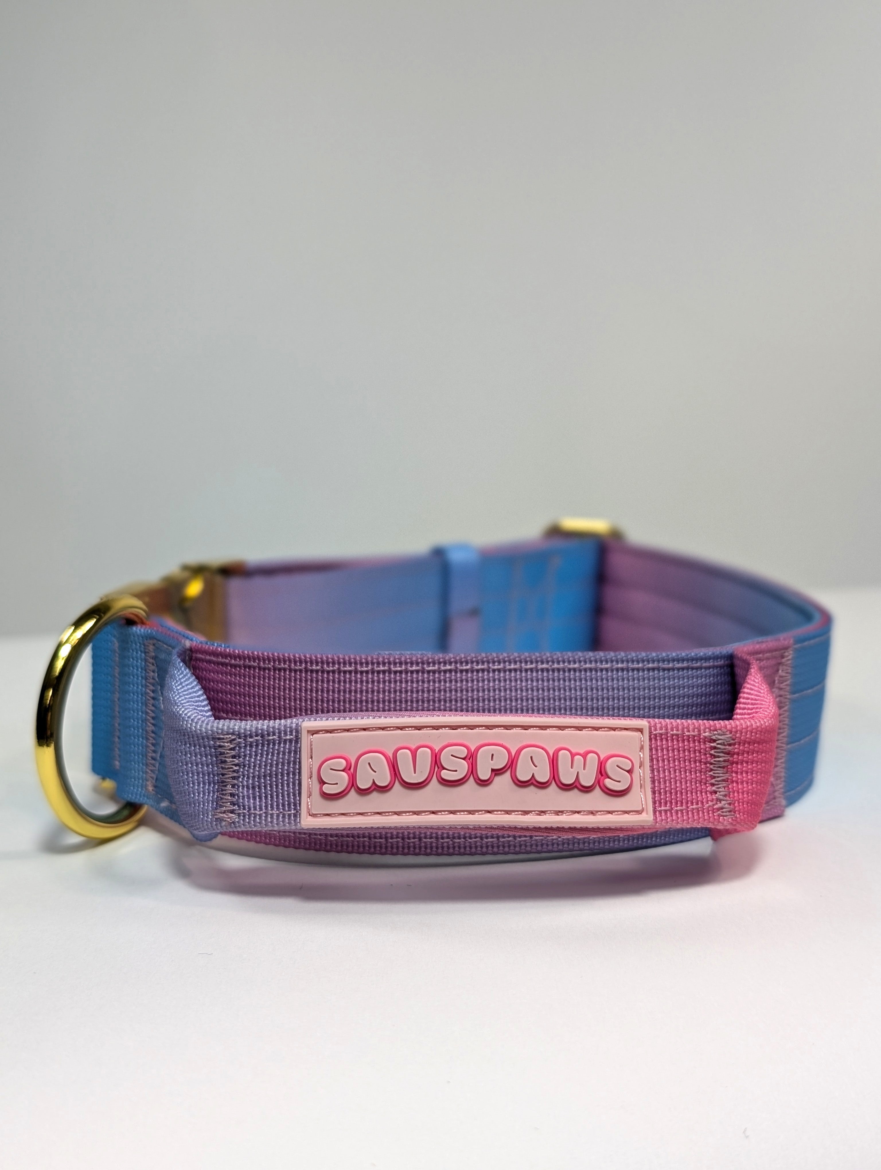 🌈 Rescue Rainbow Walk Set 💖 Featuring The Rescue Guardian Collar 🛡️