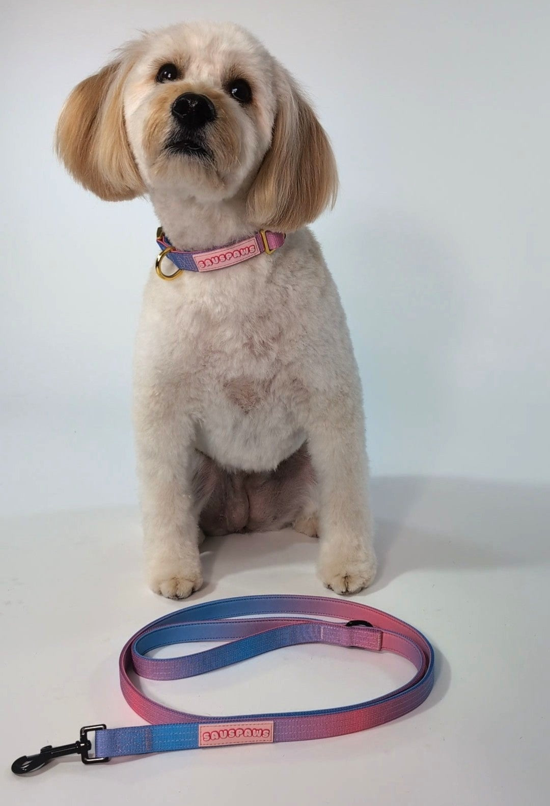 🌈 Rescue Rainbow Walk Set 💖 featuring The Rescue Classic Collar 🐾